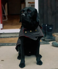 Hunter Oilskin Dog Coat