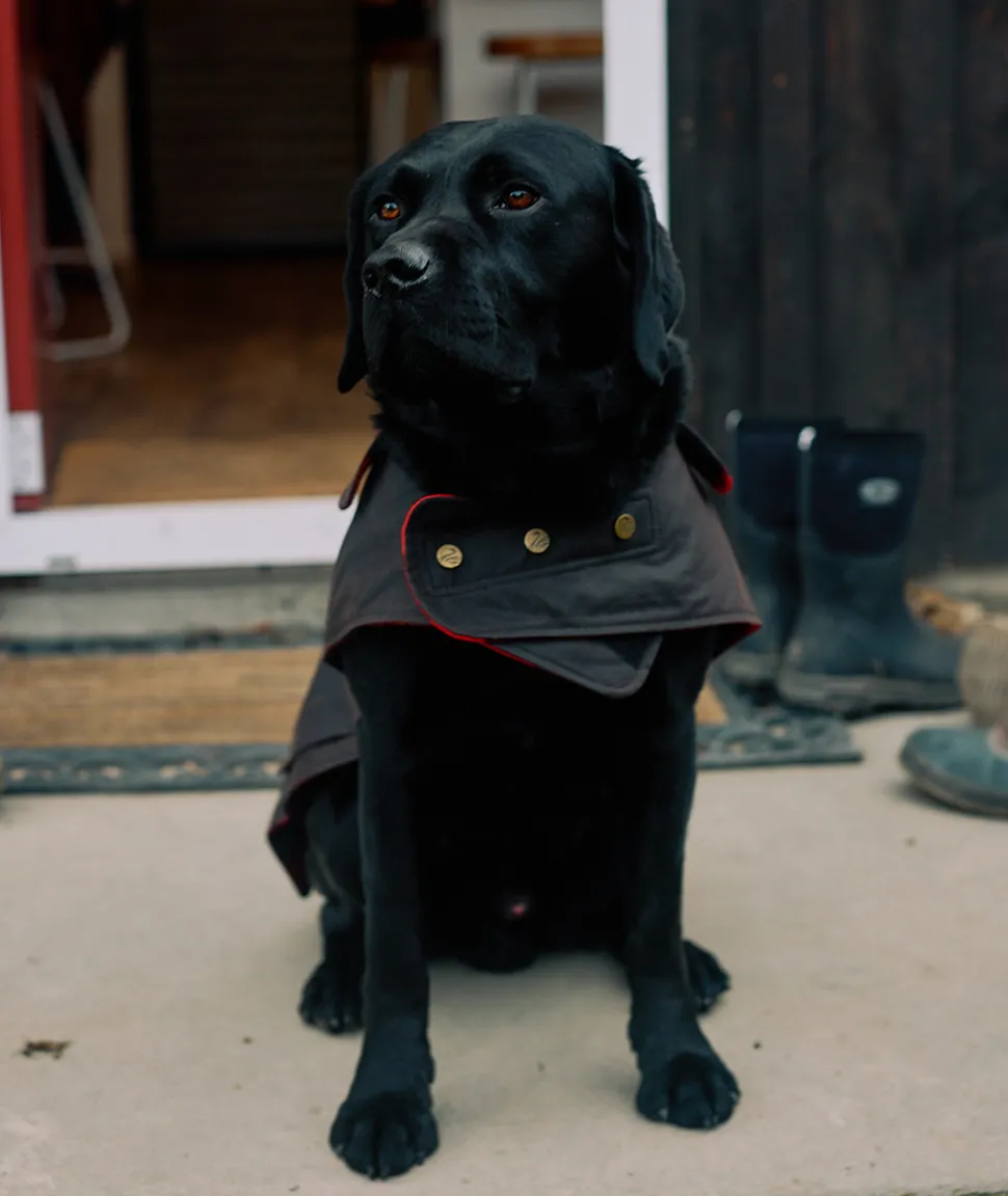 Hunter Oilskin Dog Coat