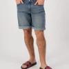 Swanni Slides