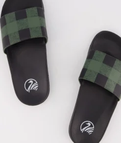 Swanni Slides