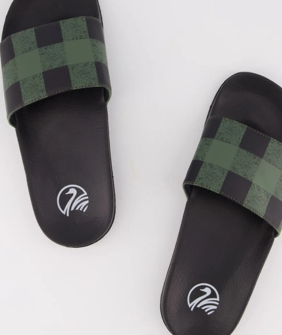 Swanni Slides