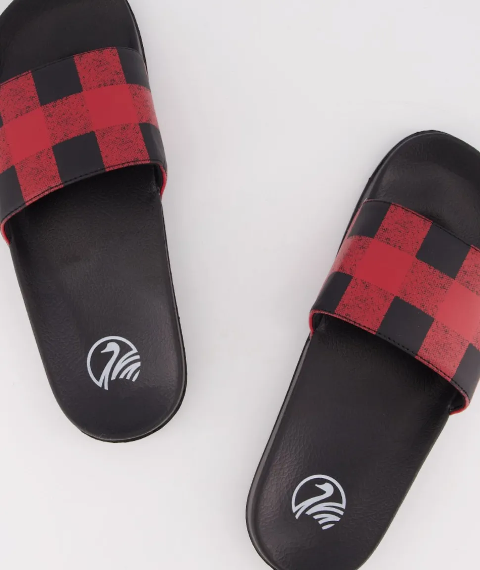 Swanni Slides