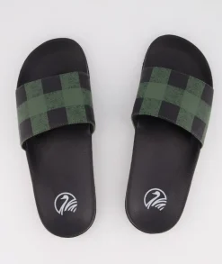 Swanni Slides