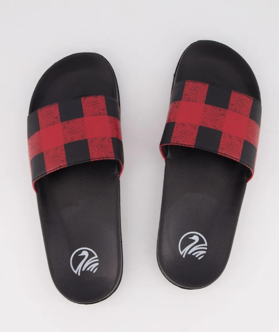 Swanni Slides
