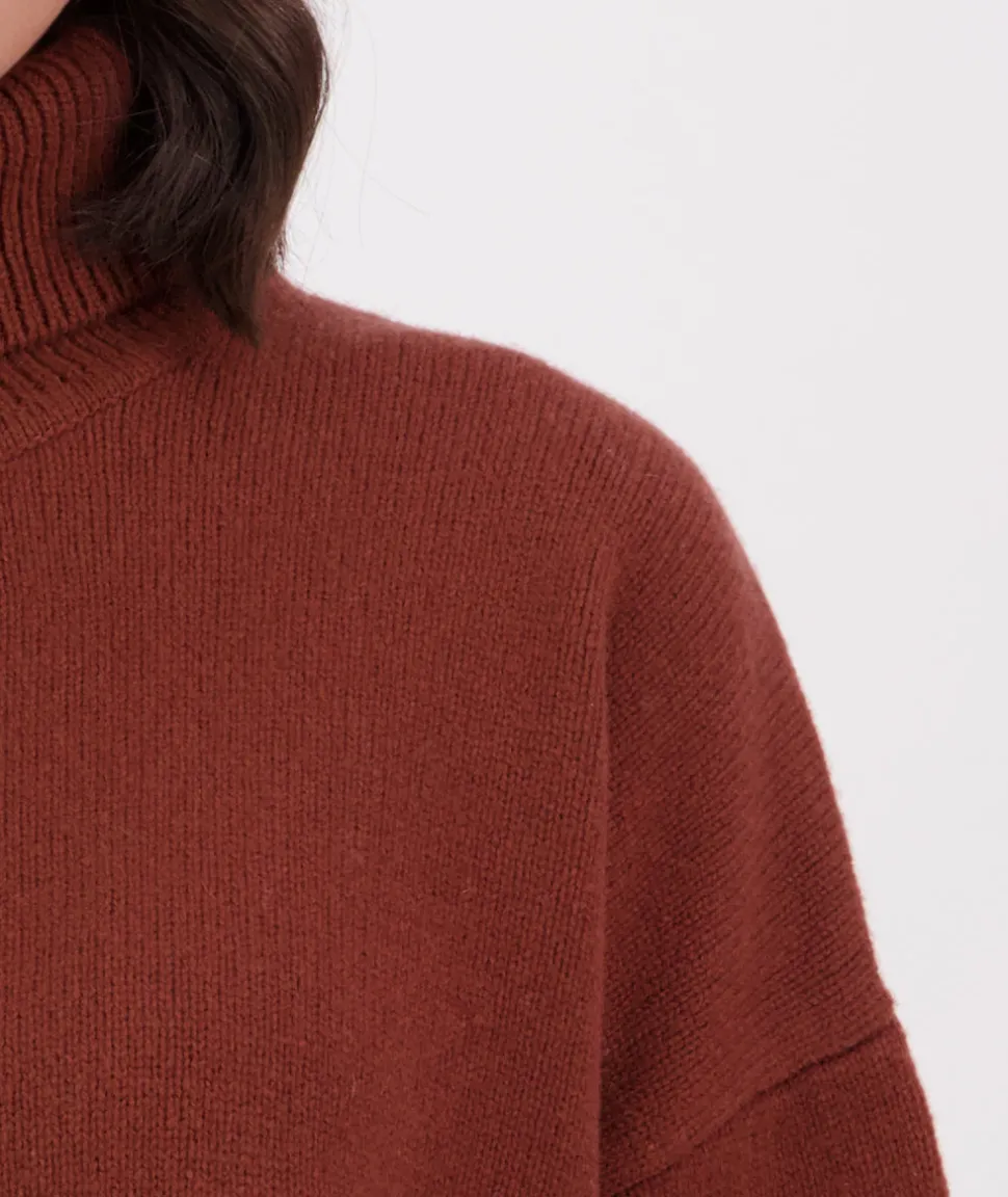 Women's Brunner Merino Roll Neck Knit